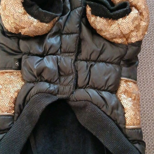 Dog jacket for small breeds like new, fur-lined and waterproof
