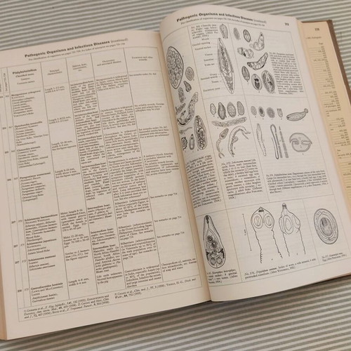Documenta Geigy Scientific Tables 6th Edition 1962 used