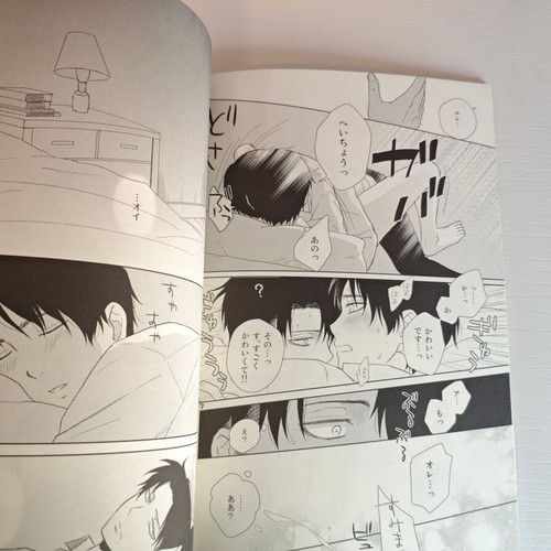 Attack on Titan BL doujinshi manga used Levi x Eren