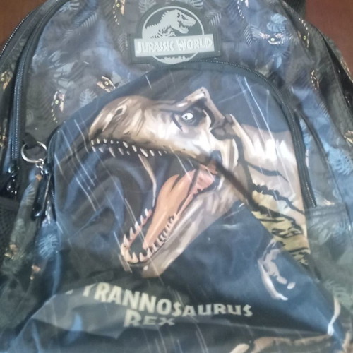 School bag used with Tyrannosaurus Rex dinosaur design