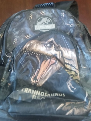 School bag used with Tyrannosaurus Rex dinosaur design
