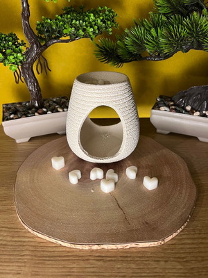 White wax melt burner new