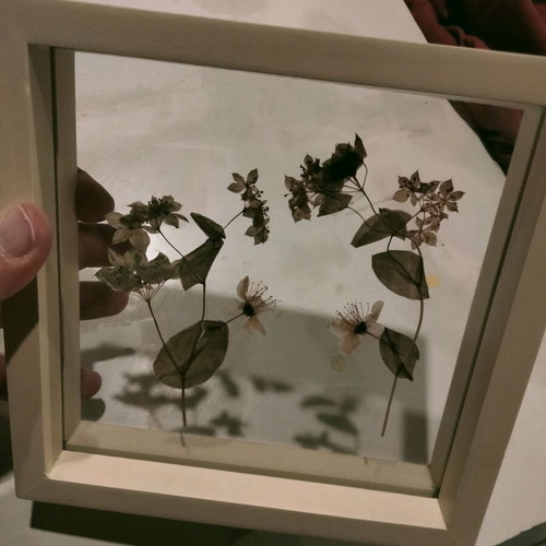 Transparent frame with dried flower composition like new