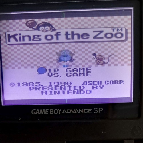 King of the Zoo Game Boy game used, action arcade