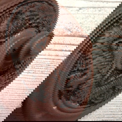 Yixing Zisha teapot new with embossed dragon decoration