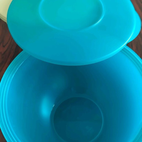 Tupperware Bowl New 2.5L Set of 2