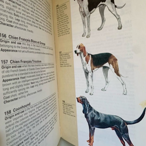 The Hamlyn Guide to Dogs hardcover like new
