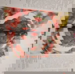  ΤΑ ΓΛΥΚΆ - ΤΟ ΜΕΓΆΛΟ ΒΙΒΛΊΟ ΤΩΝ ΓΛΥΚΏΝ Α ΚΑΙ Β ΤΟΜΟΣ