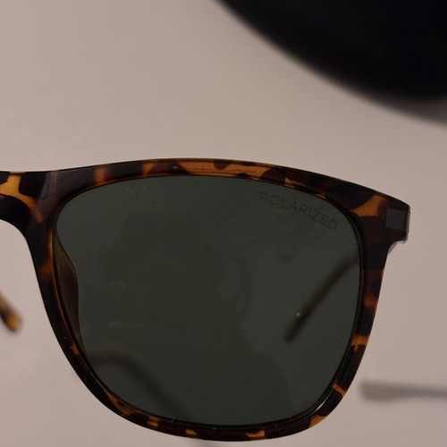 EL Gio tortoiseshell polarized sunglasses with black metal arms