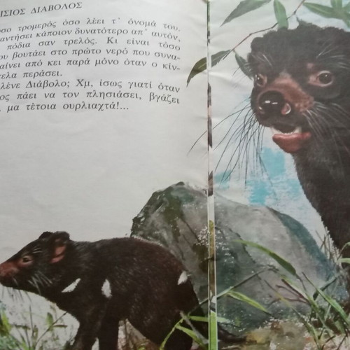 The World of Animals for Children used book