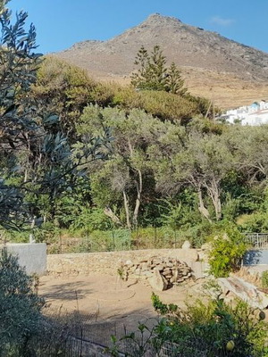 Plot of land with olive trees in village Kalloni, buildable, 255 m²