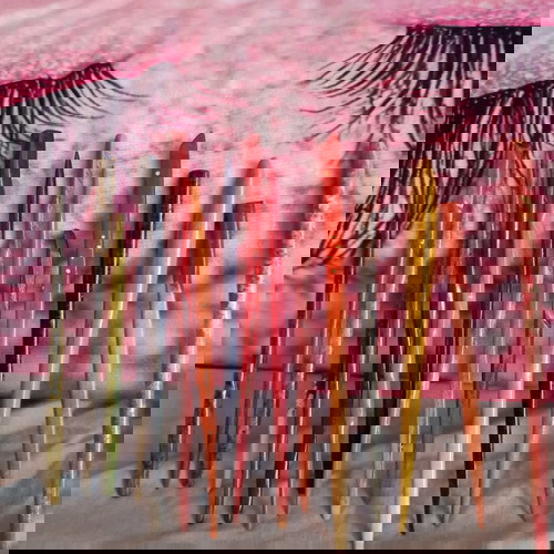 Χειροποίητα κοκκαλάκια μαλλιών από ξύλο καρυδιάς πολύχρωμα, καινούργια