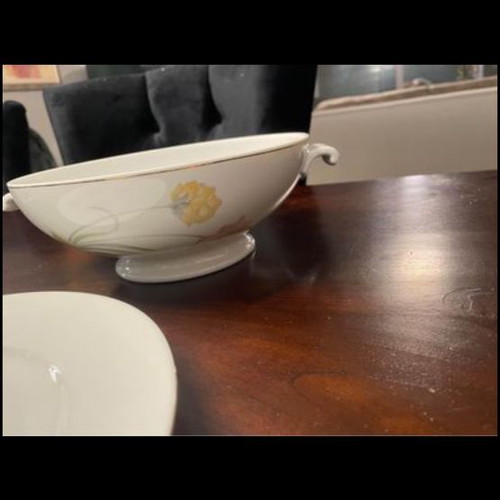 Rosenthal dish set used, 24 shallow, 12 deep, 12 fruit, 12 dessert plates