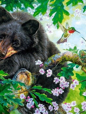 Puzzle Bear on Tree new, 500 pieces