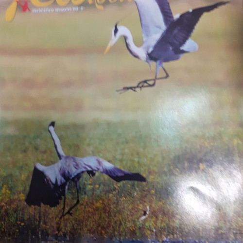 Geotropio magazine 11/8/2007 like new