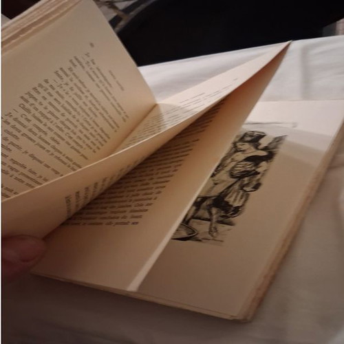 Book Diana Gantee used with engravings, novel