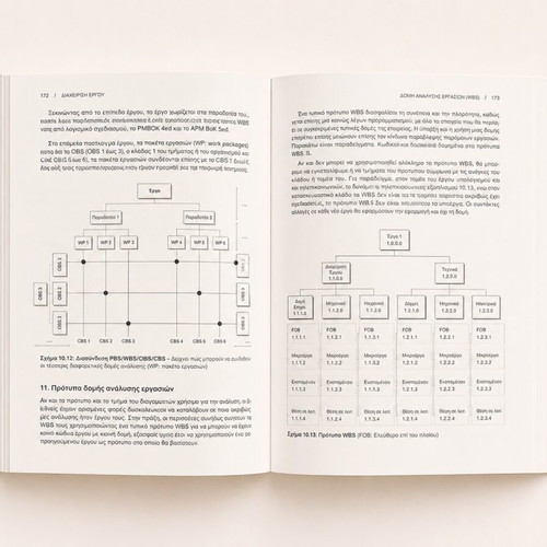 Project Management Principles and Techniques Rory Burke like new