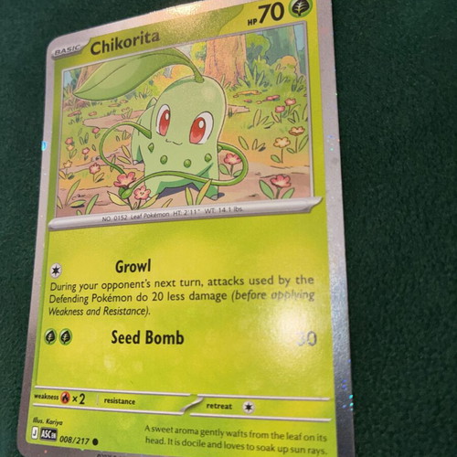 Pokémon TCG Chikorita Cosmos Holo new