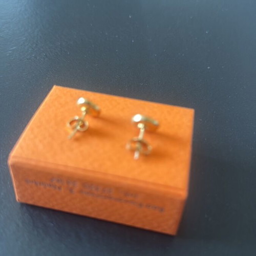 Women's earrings new, unused