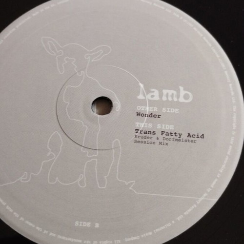 Lamb Wonder 10" Single like new, electronic