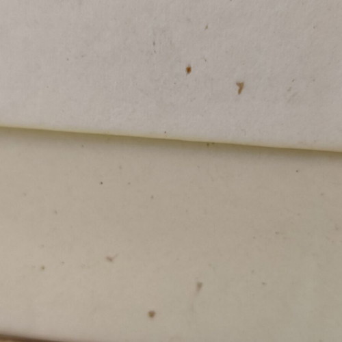 Saint Laurent empty box used 12.5 x 12.5 x 7 cm
