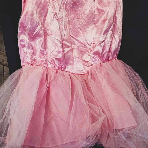Adult Ballerina Costume like new with gaiters and tights