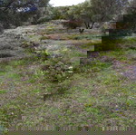 Έκταση 6 στρεμμάτων