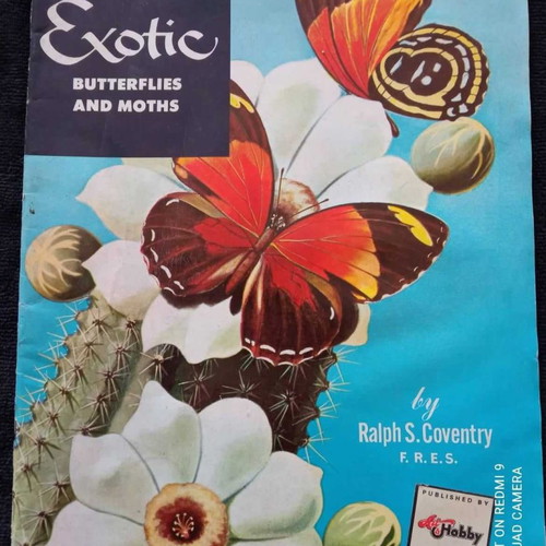 Vintage Walter T. Foster Exotic Butterflies and Moths book used