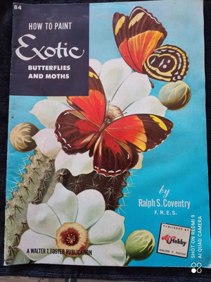 Vintage Walter T. Foster Exotic Butterflies and Moths book used