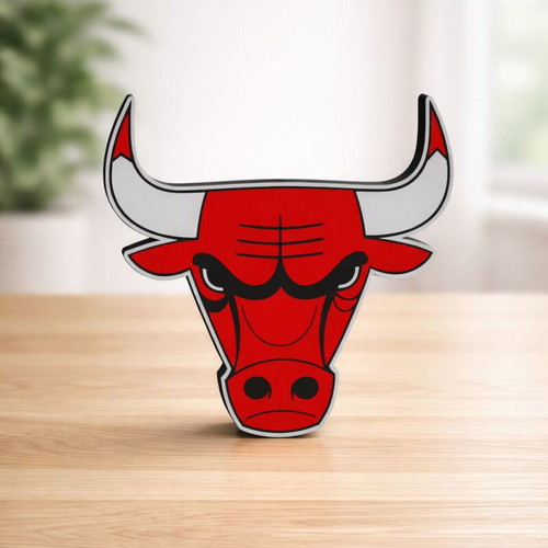 Chicaco Bulls Logo 3D printed new, size 20cm