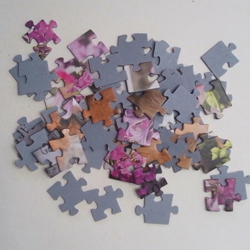 Mini puzzle Pets Trefi 54 pieces used
