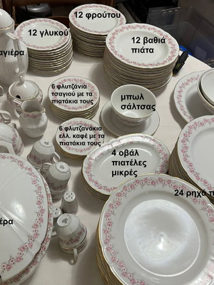 Scherzer Vintage 101-Piece Dinnerware Set Like New