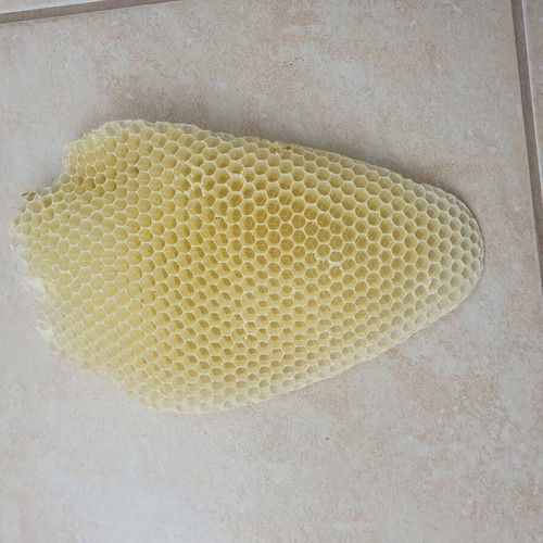 Natural Honeycomb New