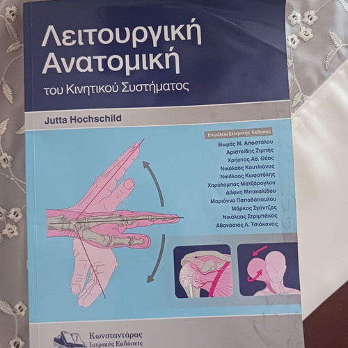 Functional Anatomy of the Motor System by Jutta Hochschild