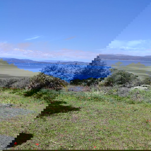 Αγροτεμάχιο 4483,5 τ.μ. οικοδομήσιμο στην Αμμουλιανή Χαλκιδικής