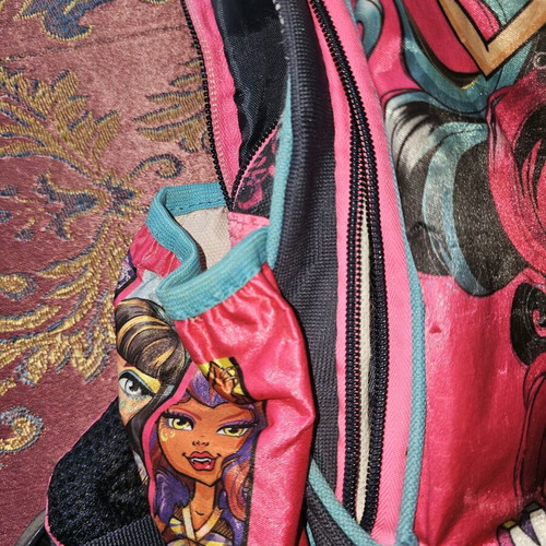 Monster High school backpack used with multiple compartments for primary school