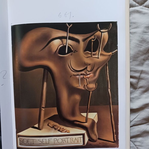 Dali book used with pencil notes
