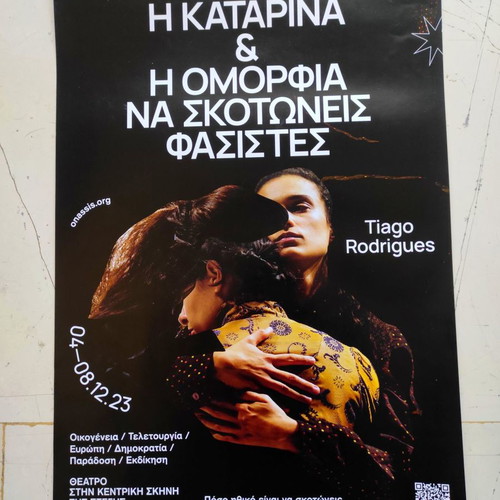 Collectible poster Η Καταρίνα και η ομορφιά να σκοτώνεις φασίστες used