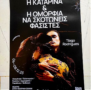 Συλλεκτική Αφίσα / Poster - Η Καταρίνα και η ομορφιά να σκοτώνεις φασίστες