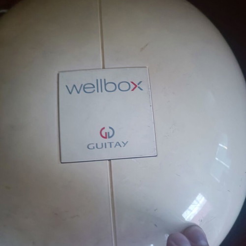 Wellbox Guitay anti-cellulite device