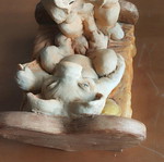 Humorous table decor like new with piglets