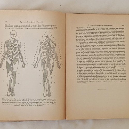 Anatomiki tou Anthropou Volume 3 Neurology & Senses used