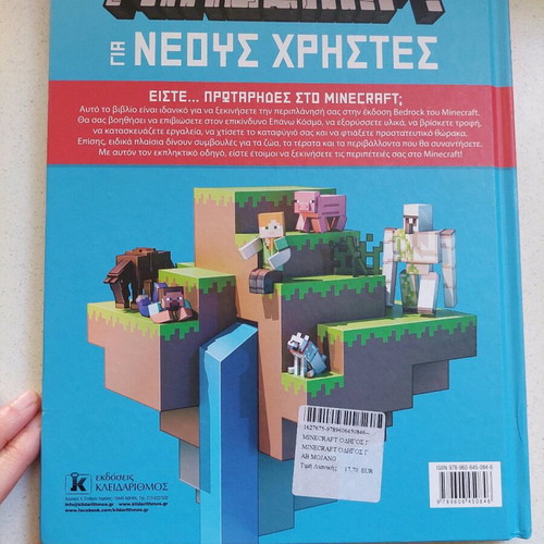 Minecraft book like new
