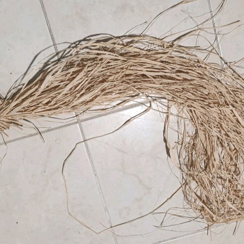 Raffia natural fibers for decoration and crafts like new