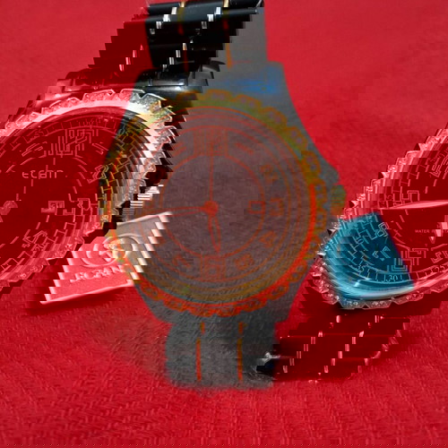 Ecan Unisex Watch New Black and Gold Stainless Steel