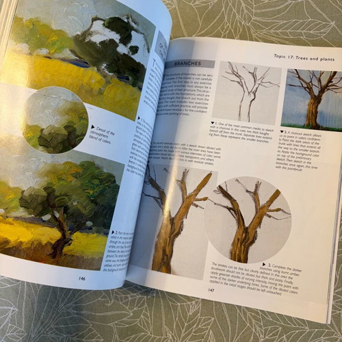 Oil Painting for Beginners book like new