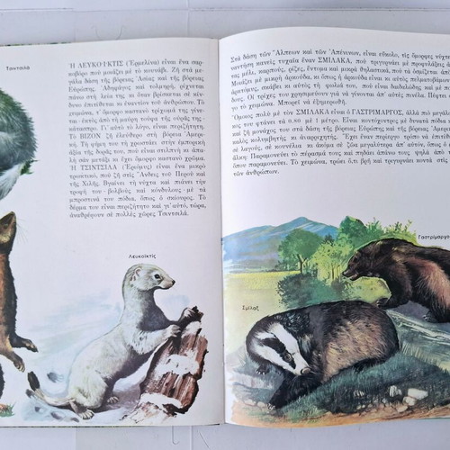 Encyclopedia of Animals 1966 used, Greek