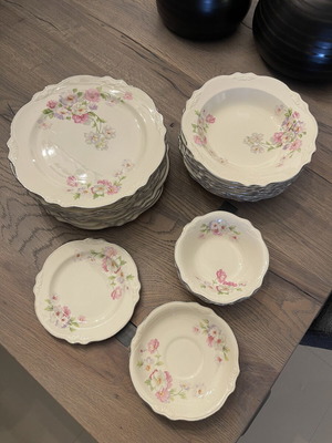 Vintage Virginia Rose serving set used, 10 shallow, 8 deep plates, 3 bowls