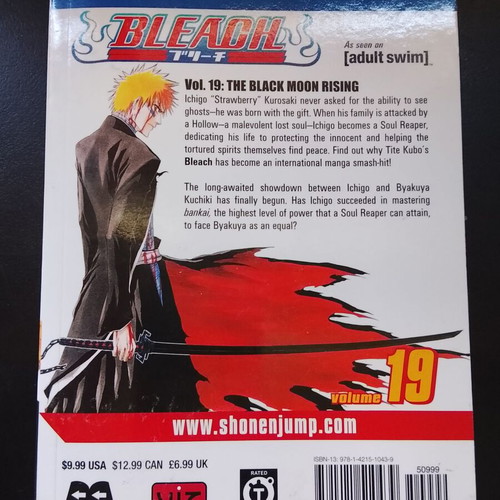 Bleach Volume 19 used, English