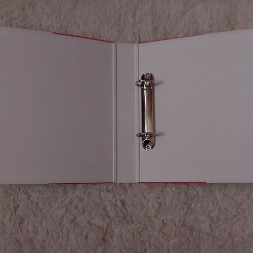 Olympiacos C.F.P. dossier like new, season 2006-2007